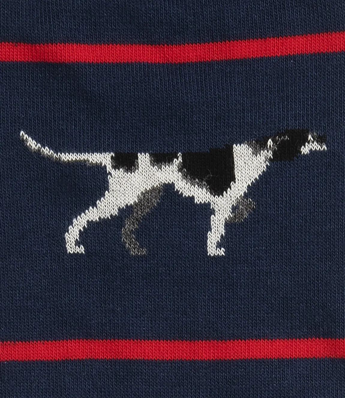 Loake Socks|Sale Accessories*Pointer Socks Navy